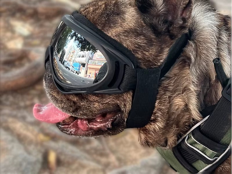 Chic Pup Dog Sunglasses
