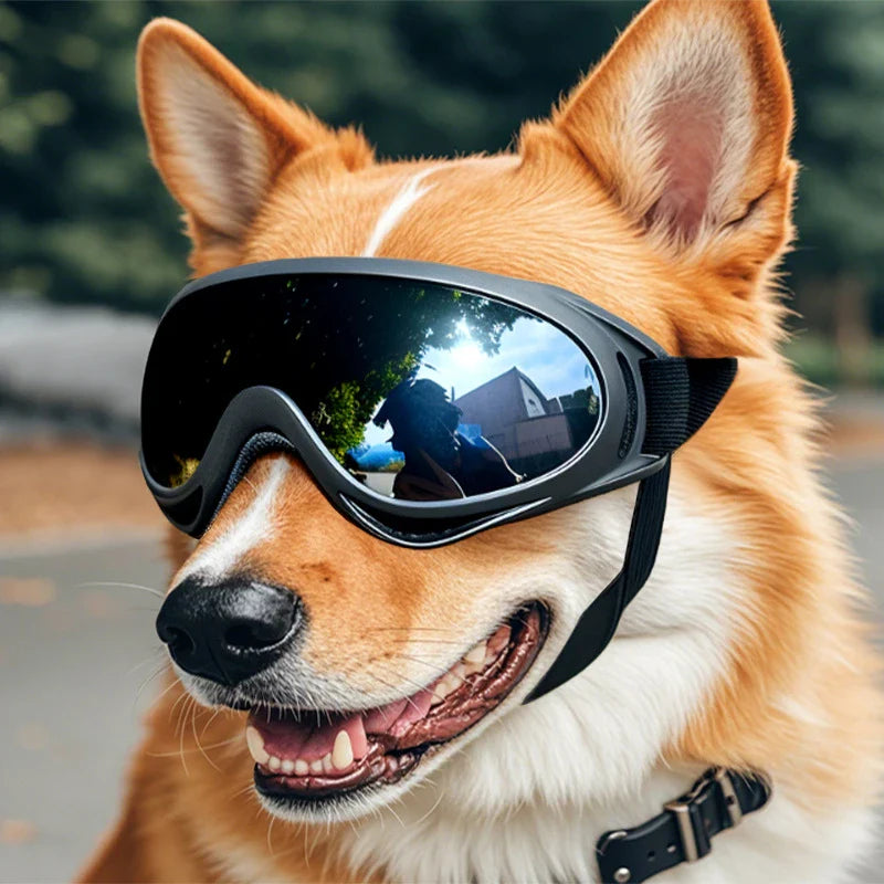 Midello dog sunglasses close-up showing soft flexible frame and lens detail