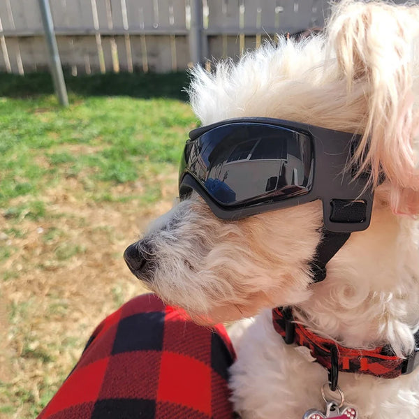 Pet-Accessories-Dog-Outdoor-UV-Protection-Sunglasses-Cat-Dog-Goggles-for-Small-Medium-Breed-Puppy-Glasses.jpg