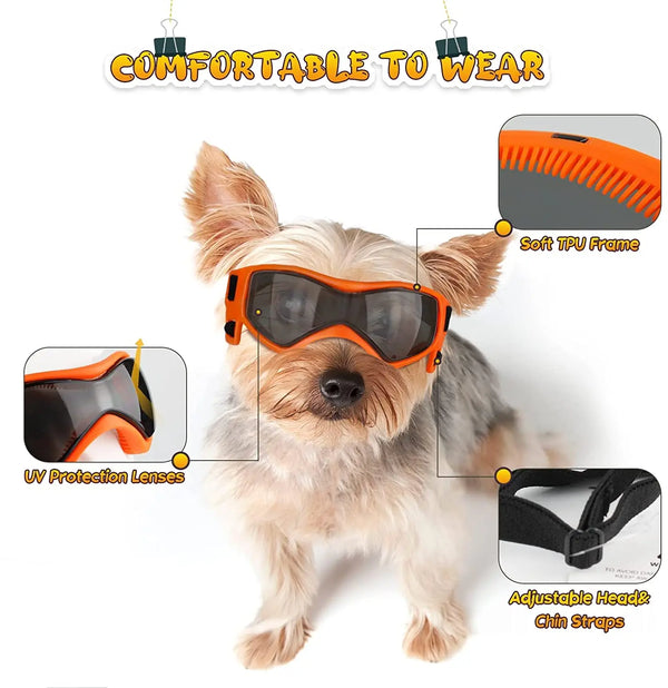 Chic Pup UV Sunglasses