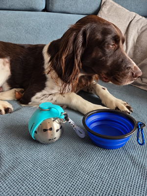 Portable dog water bottle with stainless steel design from Midello.eu